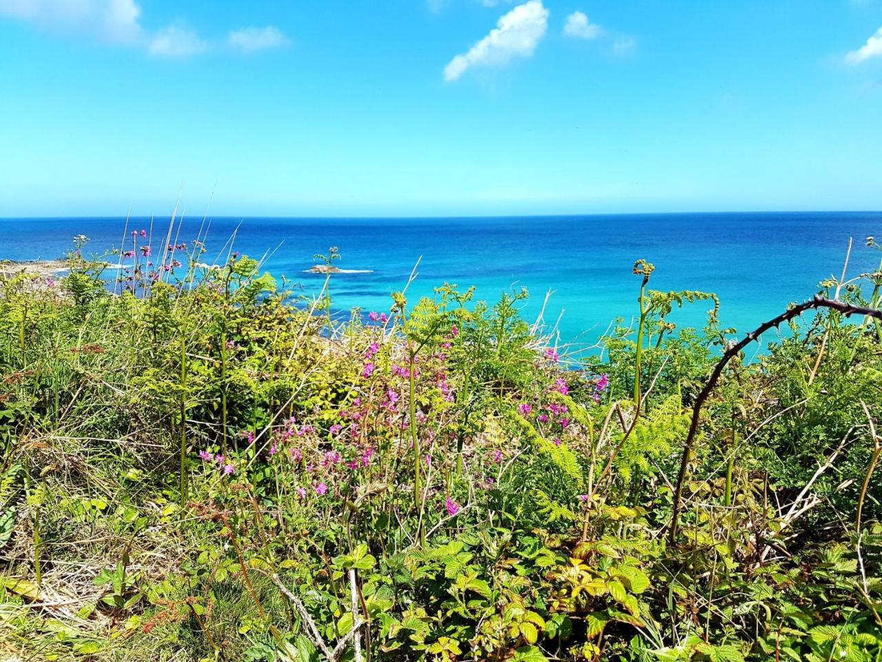 فندق Saltwater St Ives المظهر الخارجي الصورة